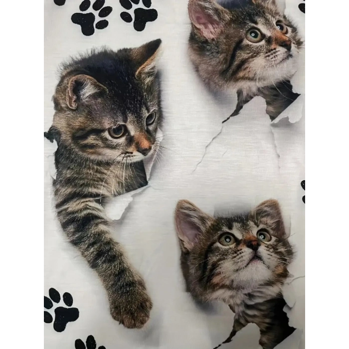 Kadın Kısa Kollu Kedi Ve Pati Baskılı Süprem Tshirt