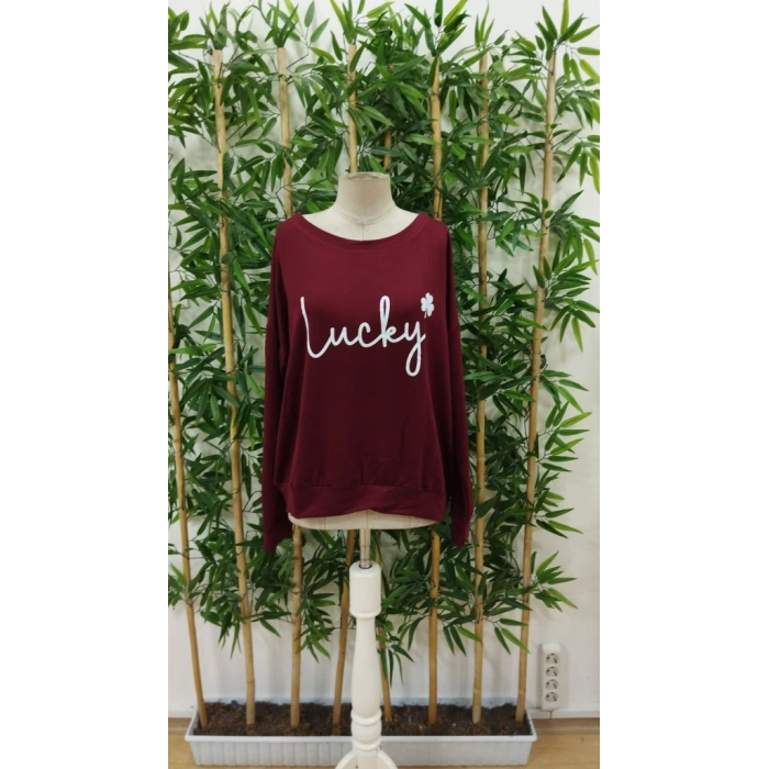 Kadın Uzun Kollu Bisiklet Yaka Viskon Iki Iplik Bluz