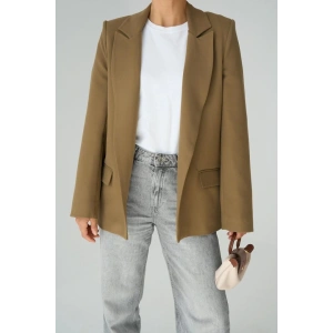 Astarı Çizgili Ceket  Vizon