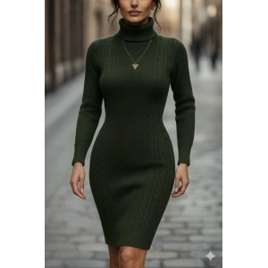 Kadın Uzun Kollu Balıkçı Yaka Kısa Triko Elbise