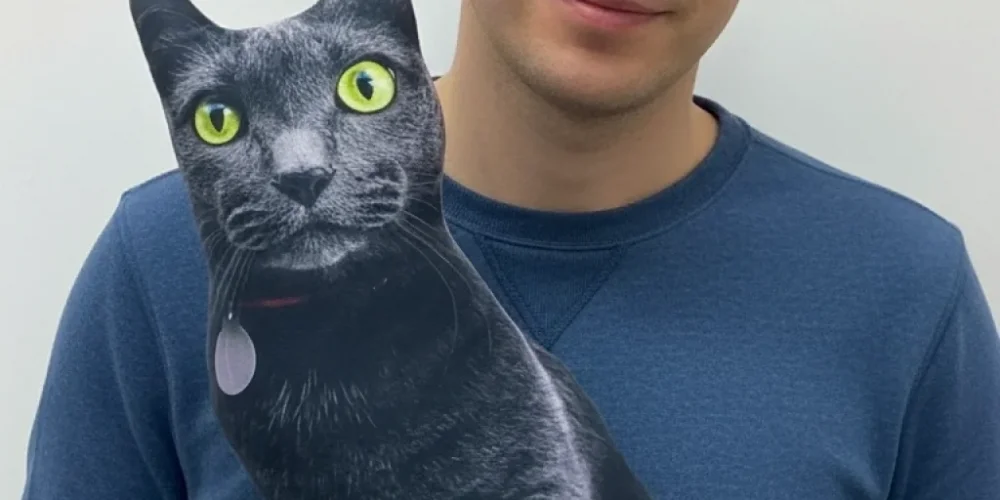 Ev Dekorasyonunda Sevimli Dokunuşlar: 3D Kedi Yastıkları ve Kombin Önerileri
