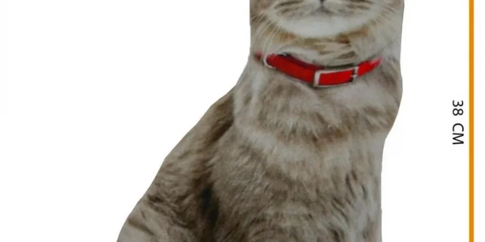 Ev Dekorasyonunda Sevimli Trend: 3D Dijital Baskılı Kedi ve Köpek Yastık Modelleri – Nishev