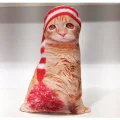 Lüks 3D kedi Motifli Yastık