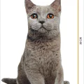 3d Dijital Baskılı Dekoratif Kedi Yastık Duman