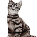 3d Dijital Baskılı Dekoratif Kedi Yastık Tekir
