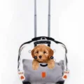 Lüks Şeffaf Tekerlekli Evcil Hayvan Taşıma Valizi – Çekçekli Büyük Model