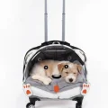 Lüks Şeffaf Tekerlekli Evcil Hayvan Taşıma Valizi – Çekçekli Büyük Model