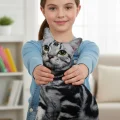 American Shorthair 3D Dijital Baskılı Lüks Kedi Yastığı