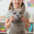 3d Dijital Baskılı Dekoratif Kedi Yastık Duman