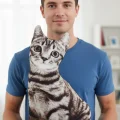 3d Dijital Baskılı Dekoratif Kedi Yastık Tekir