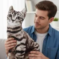 3d Dijital Baskılı Dekoratif Kedi Yastık Tekir