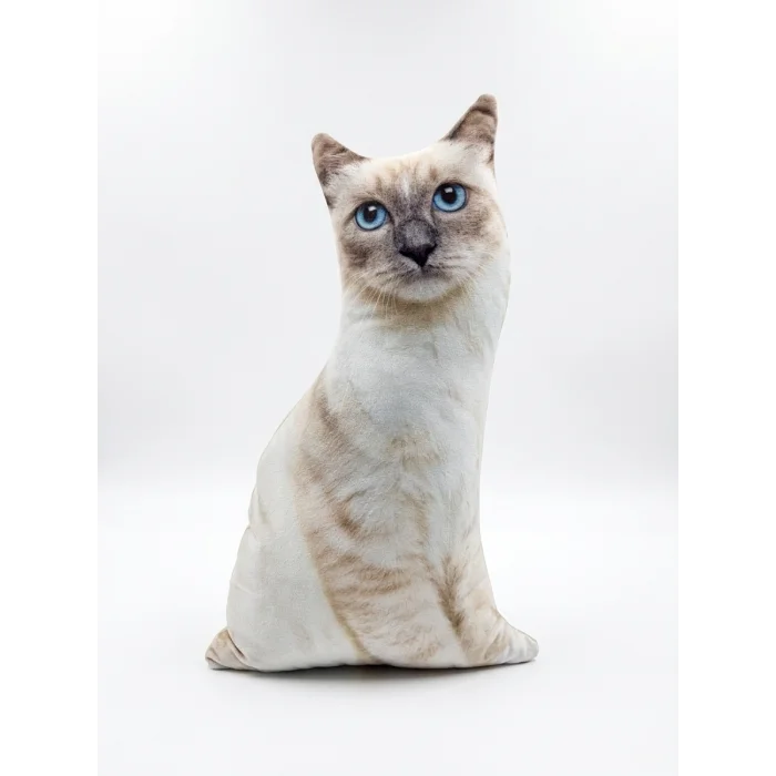 3d Dijital Baskılı Dekoratif Kedi Yastık