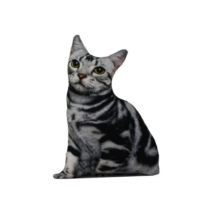 American Shorthair 3D Dijital Baskılı Lüks Kedi Yastığı