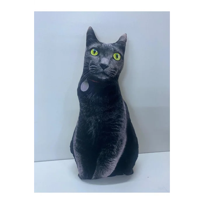 Ege Kedisi 3D Dijital Yastık – Lüks Konforlu Ev Dekoru