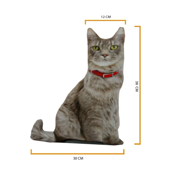 3d Dijital Baskılı Dekoratif Kedi Yastık
