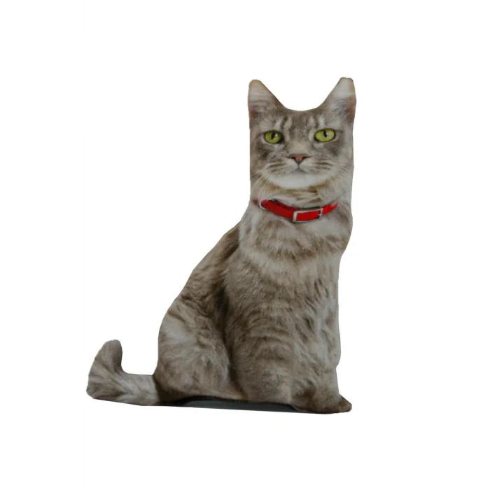 3d Dijital Baskılı Dekoratif Kedi Yastık