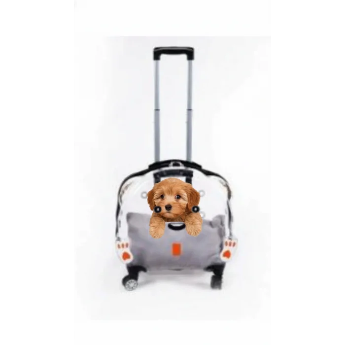 Lüks Şeffaf Tekerlekli Evcil Hayvan Taşıma Valizi – Çekçekli Büyük Model
