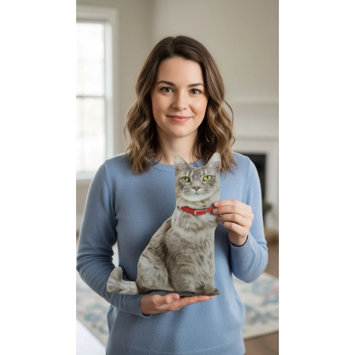 3d Dijital Baskılı Dekoratif Kedi Yastık