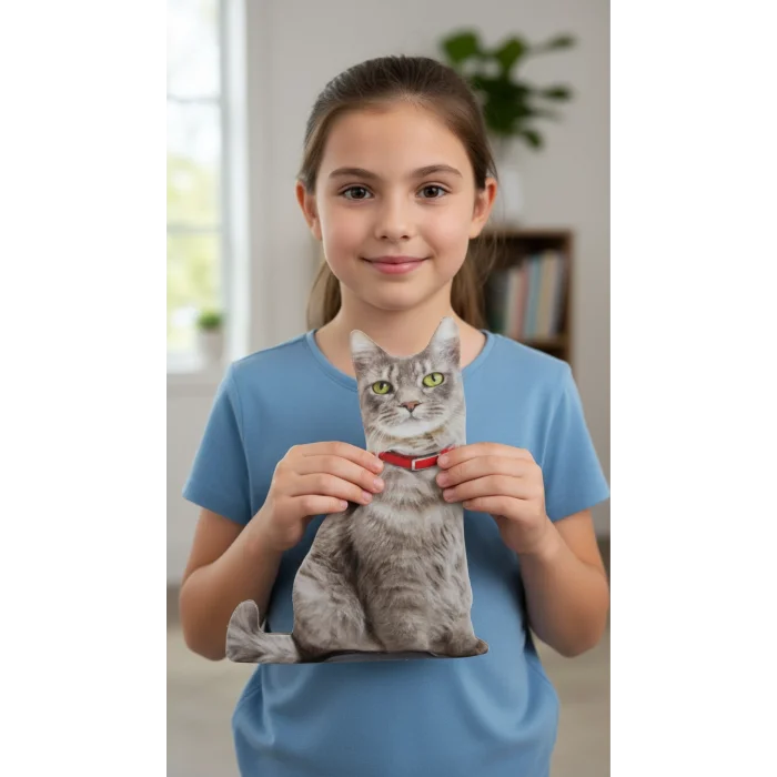 3d Dijital Baskılı Dekoratif Kedi Yastık
