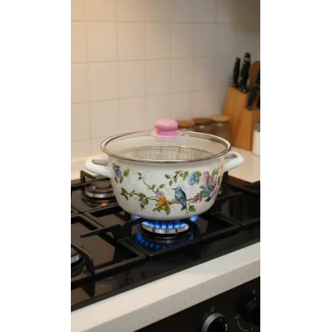 Torino Mavi Kuş Eksklüzif 22 cm Emaye Kızartma Tenceresi