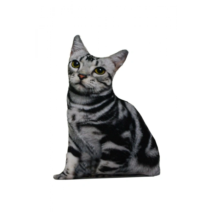 3d Dijital Baskılı Dekoratif Kedi Yastık American Shorthair