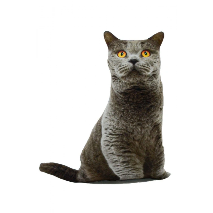 NİSHEV 3D Dijital baskılı kedi yastık BRİTİSH SHORTHAİR kedi