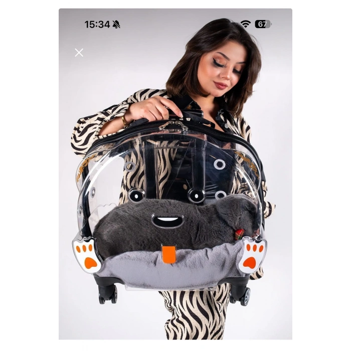 Tekerlekli kedi köpek taşıma valizi çekçekli şeffaf