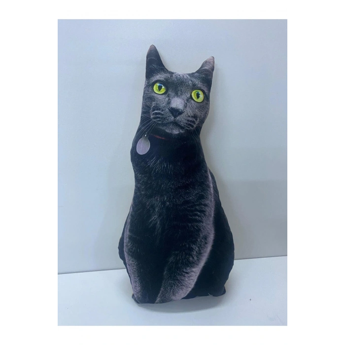 NİSHEV 3D Dijital baskılı kedi yastık EGE KEDİSİ