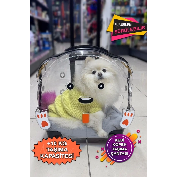 Sürülebilir Şeffaf Tekerlekli Kedi Köpek Hayvan Taşıma Çantası
