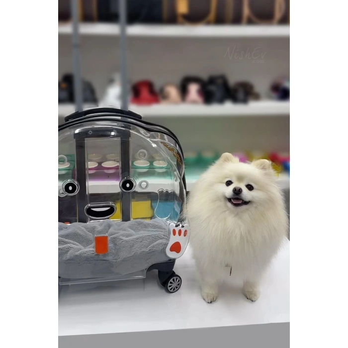 Sürülebilir Şeffaf Tekerlekli Kedi Köpek Hayvan Taşıma Çantası