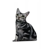 3d Dijital Baskılı Dekoratif Kedi Yastık American Shorthair