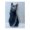 NİSHEV 3D Dijital baskılı kedi yastık EGE KEDİSİ