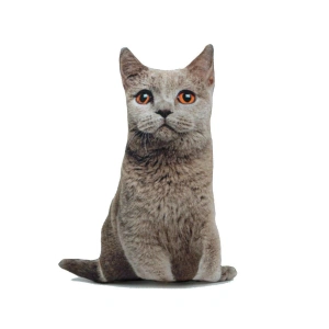 3d Dijital Baskılı Dekoratif Kedi Yastık Duman