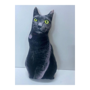 NİSHEV 3D Dijital baskılı kedi yastık EGE KEDİSİ