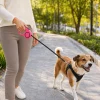 Otomatik Köpek Tasması - 3 Metre