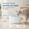 Otomatik Uyarılı Kedi Köpek Su Kabı