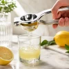 Paslanmaz Çelik Limon Sıkacağı