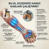 Ayarlanabilir El Egzersizi ve Tutuş Güçlendirici Aparat