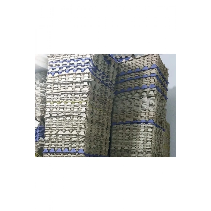 (10 ADET)30lu Karton Yumurta Viyolü (10 ADET 17LBS)- Víyol Toptan