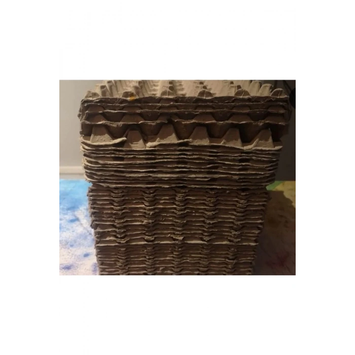 (10 ADET)30lu Karton Yumurta Viyolü (10 ADET 17LBS)- Víyol Toptan