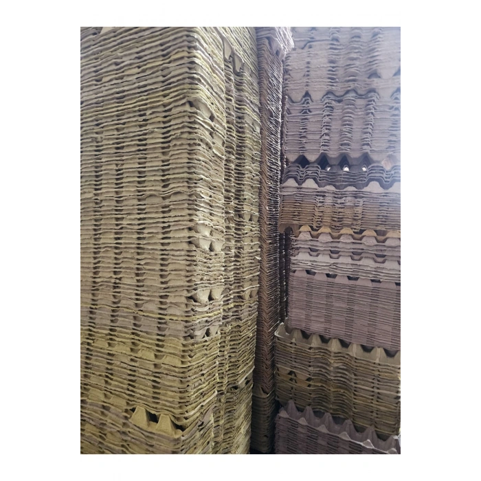 10 ADET 30lu Karton Yumurta Viyolü (10 ADET) Toptan Viyol