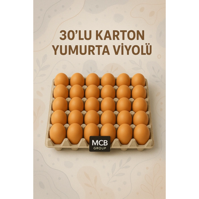 10 ADET 30lu Karton Yumurta Viyolü (10 ADET) Toptan Viyol