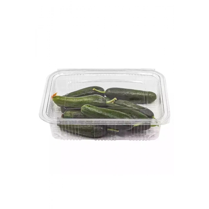 1000 Cc Kapaklı Sızdırmaz 10 Adet