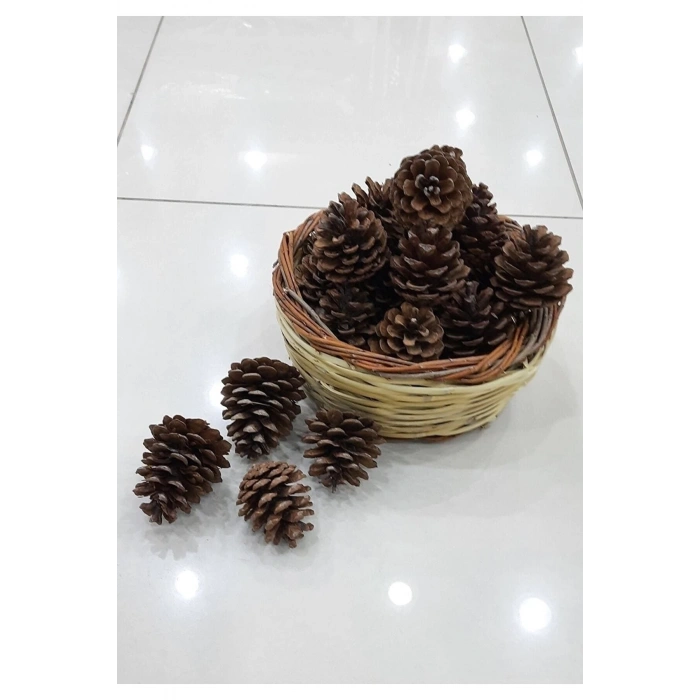 10 Adet Doğal Çam Kozalağı Dekoratif Kozalak