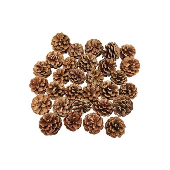 30lu Yılbaşı Ağacı Süslemesine Özel Kozalaklar Çam Kozalakları Ufak Dekoratif Kozalak Modelleri