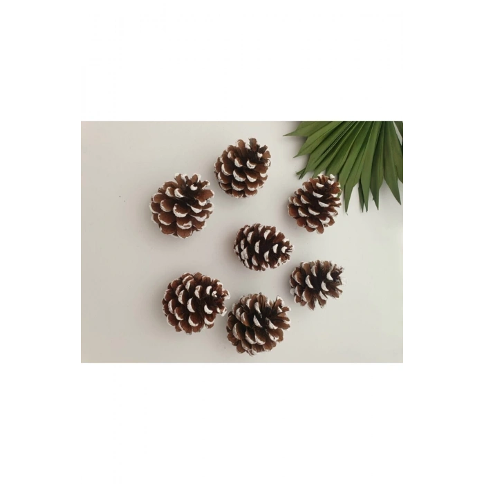 6 Adet Yılbaşı Ağacı Süs Çam Karlı Kozalak