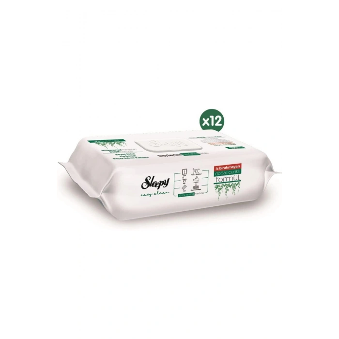 Easy Clean Yüzey Temizlik Havlusu&mendili 12x100 (1200 YAPRAK)