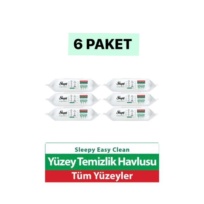Easy Clean Yüzey Temizlik Havlusu 100 Yaprak Plastik Kapaklı (6 Lı Set) 600 Yaprak