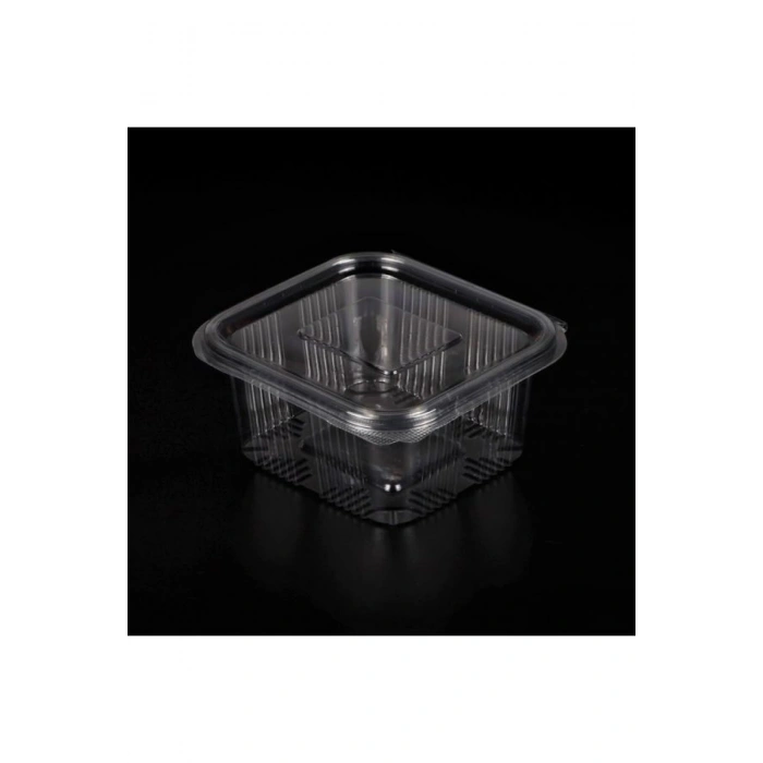 Plastik Sızdırmaz Kap 500gr Kullan At (buzdolabı kabı) 25 ADET