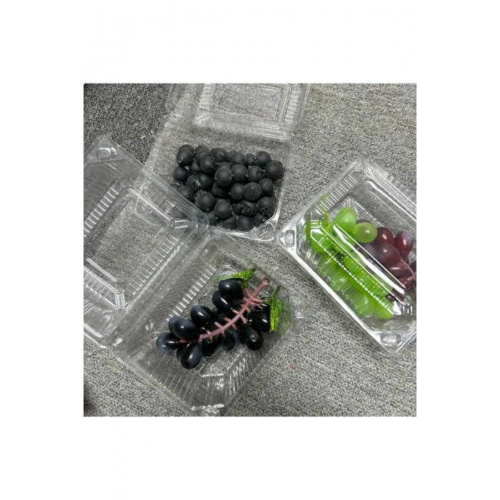 10 Adet 500 CC Peynir Kabı Yarım Kapak Sızdırmaz Kab Derin Dondurucu Pasta Meyve Kurabiye